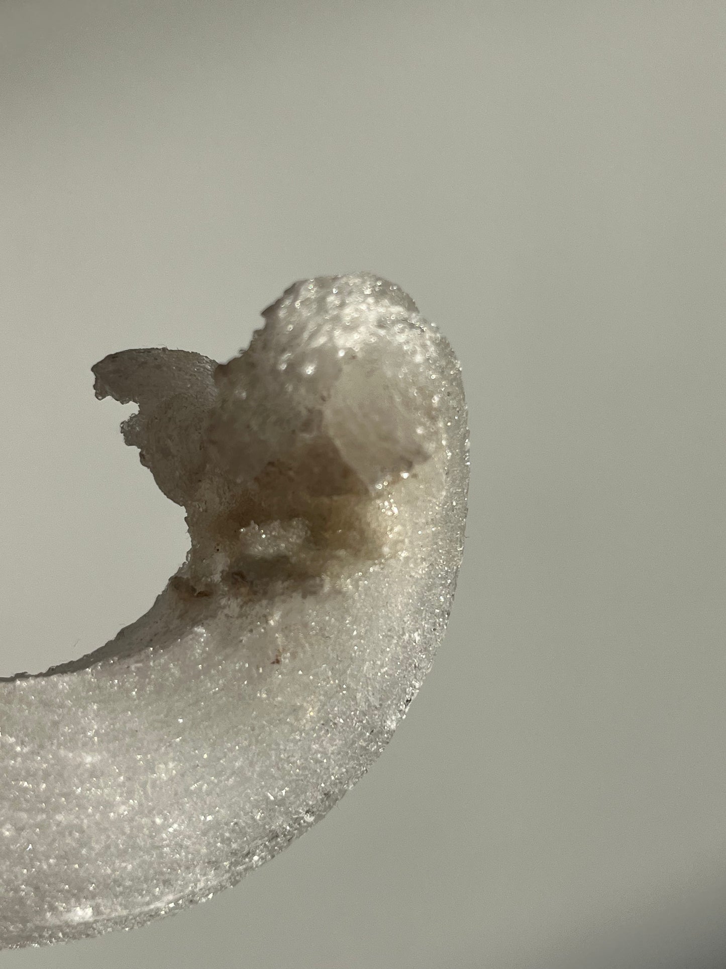 Selenite Horn Specimen B