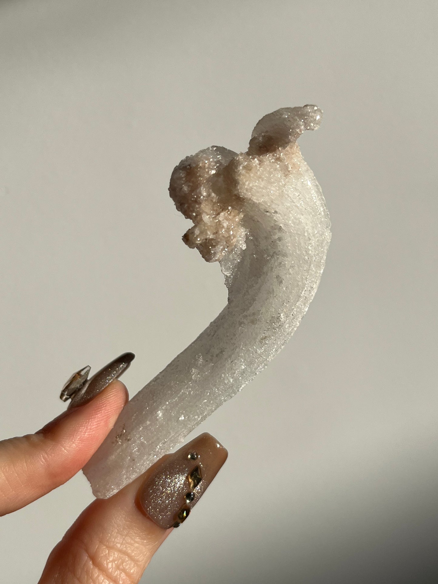 Selenite Horn Specimen C