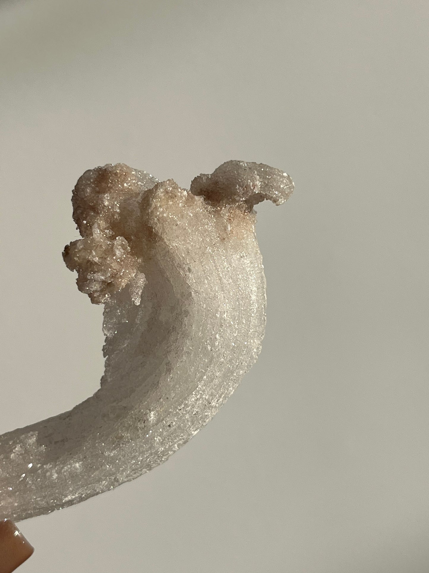 Selenite Horn Specimen C