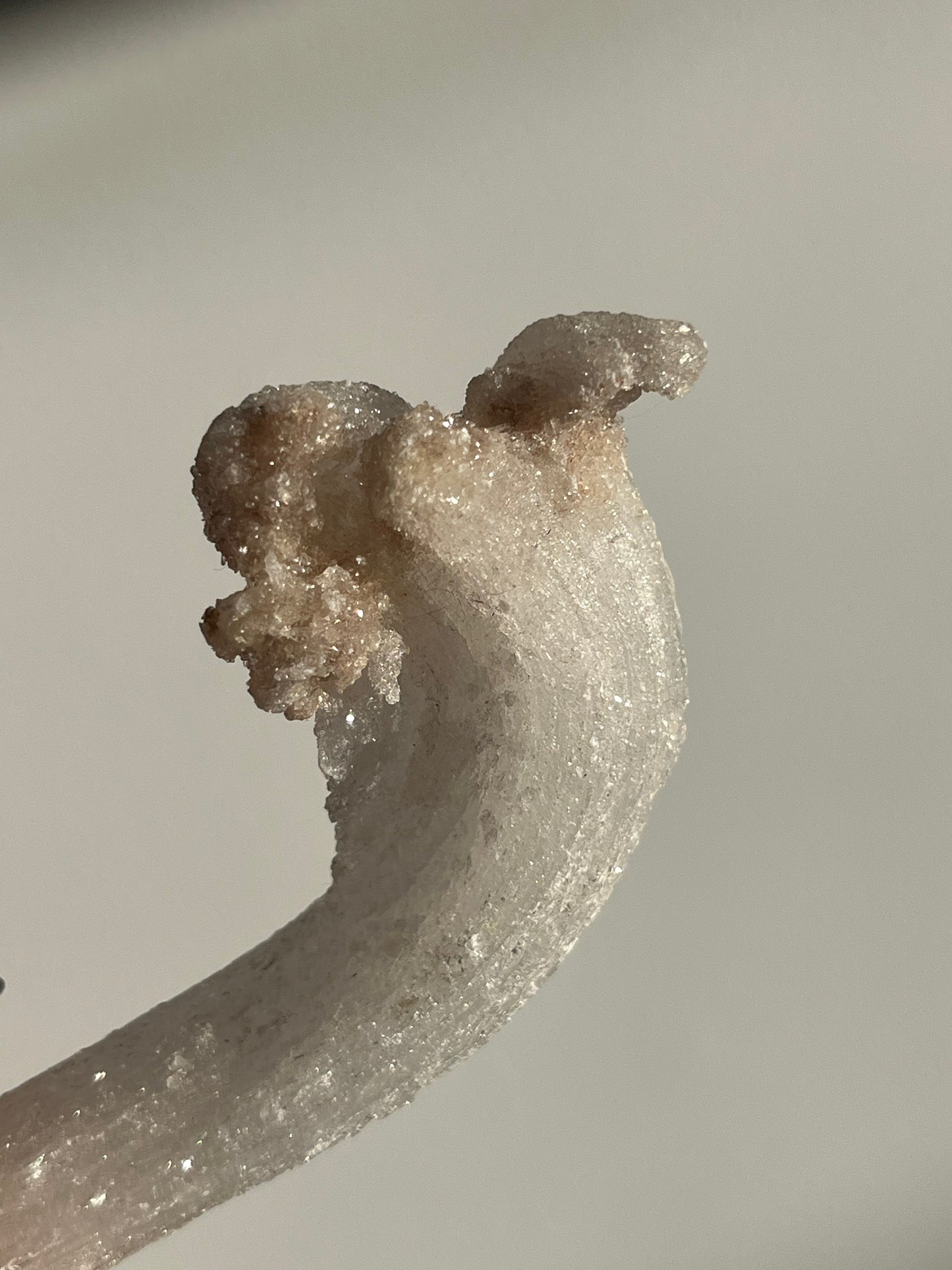 Selenite Horn Specimen C