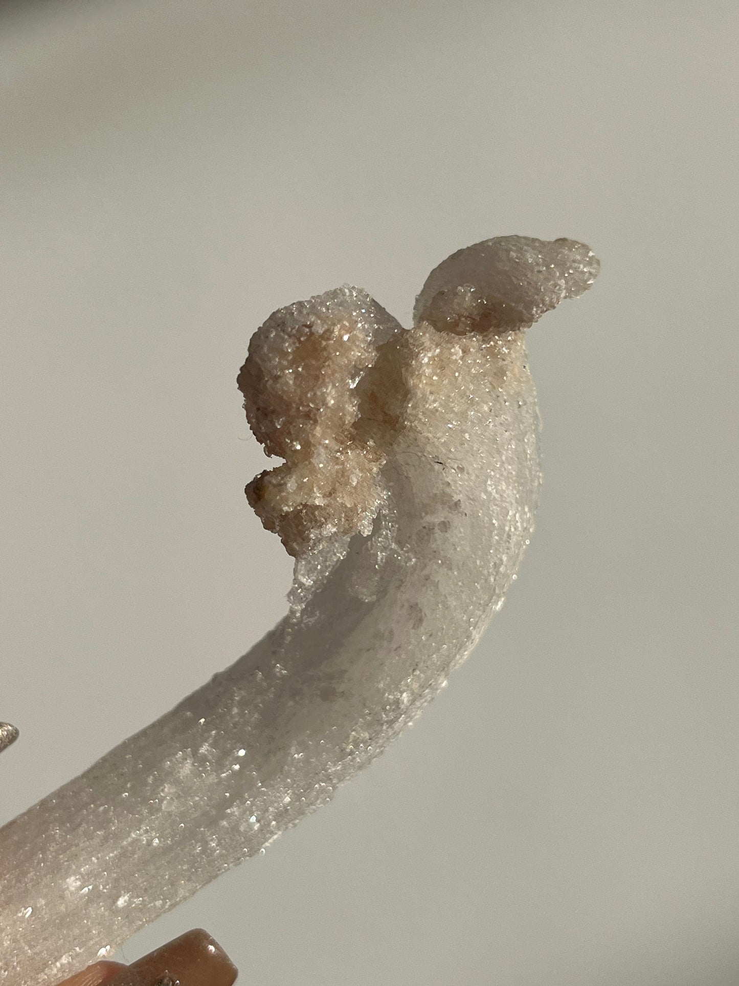 Selenite Horn Specimen C