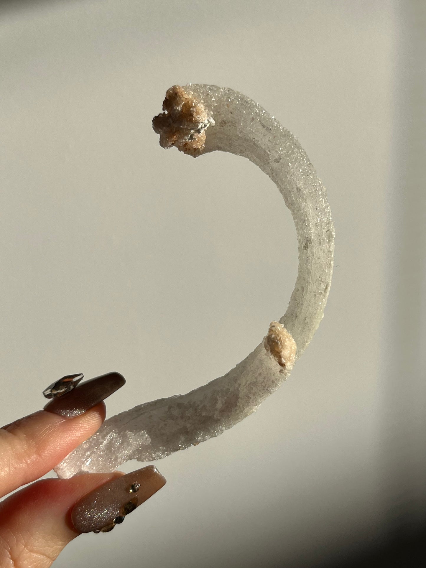 Selenite Horn Specimen D