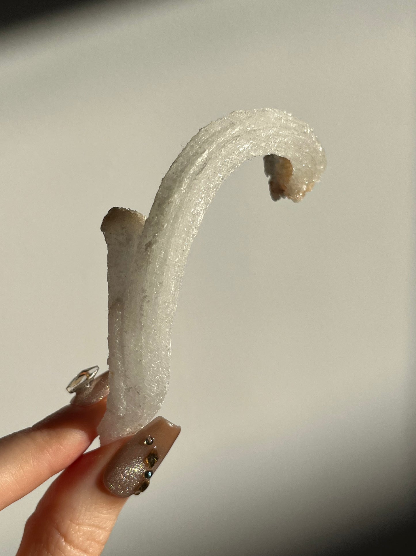 Selenite Horn Specimen D