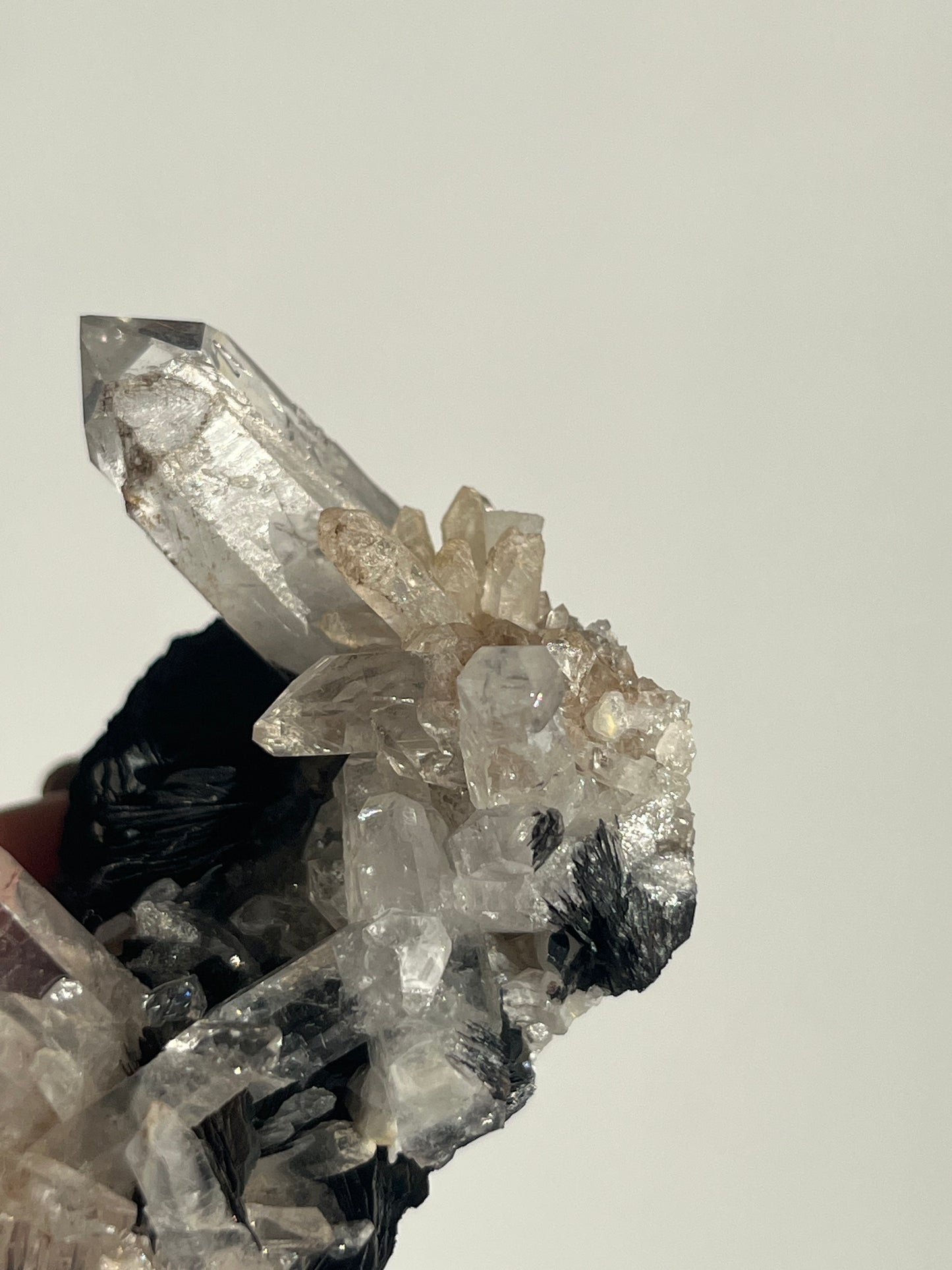 Specularite Hematite Rose with Quartz Specimen G