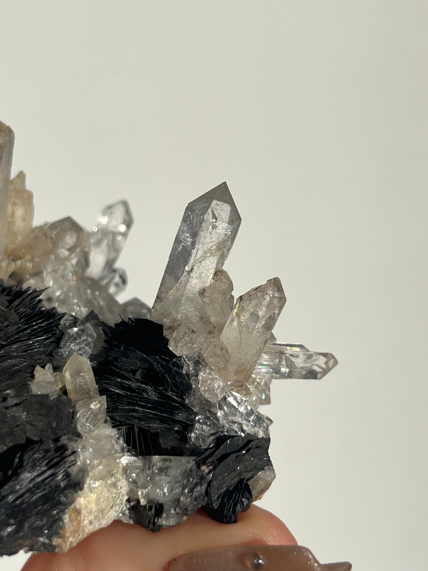 Specularite Hematite Rose with Quartz Specimen G