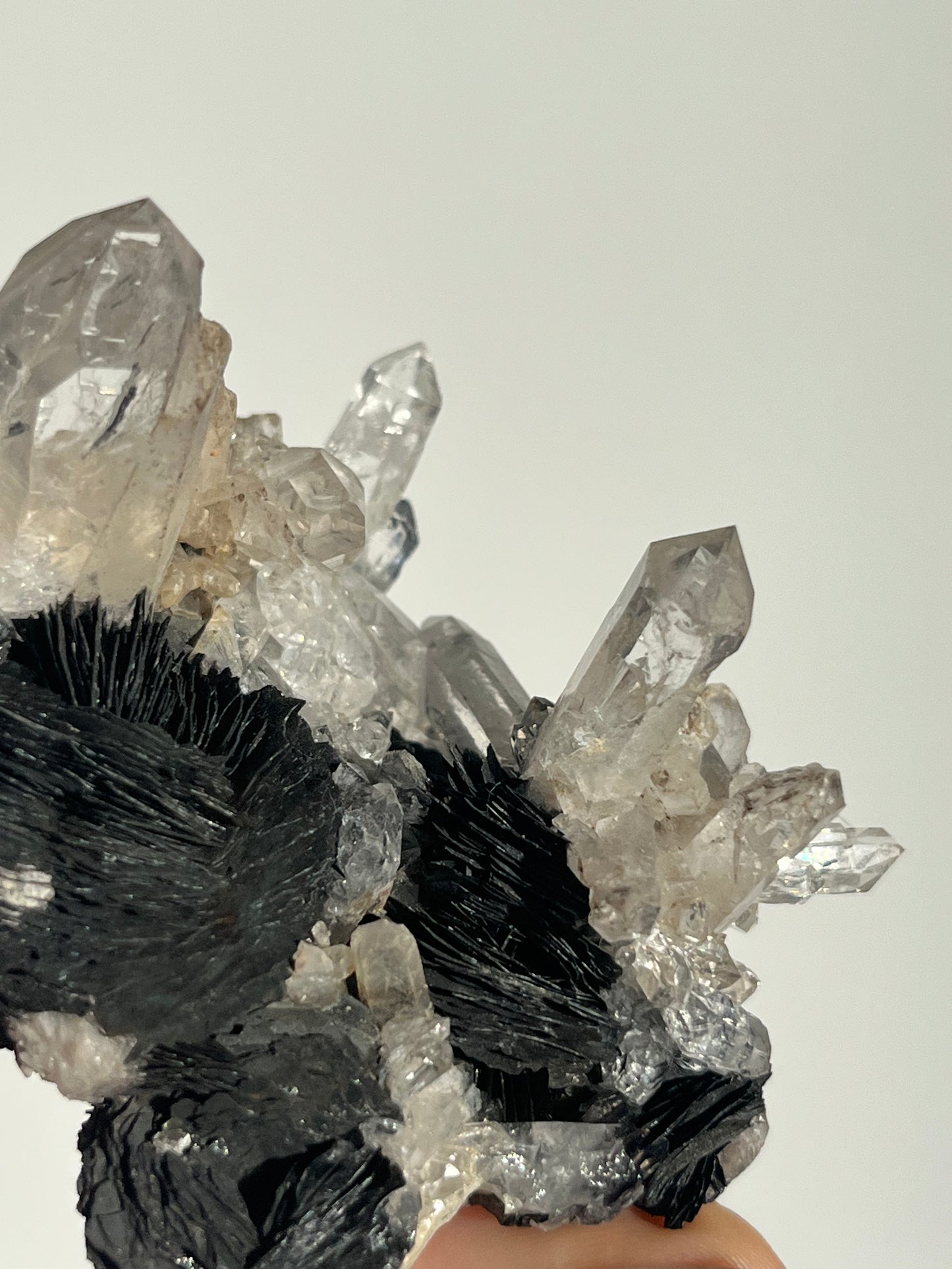 Specularite Hematite Rose with Quartz Specimen G