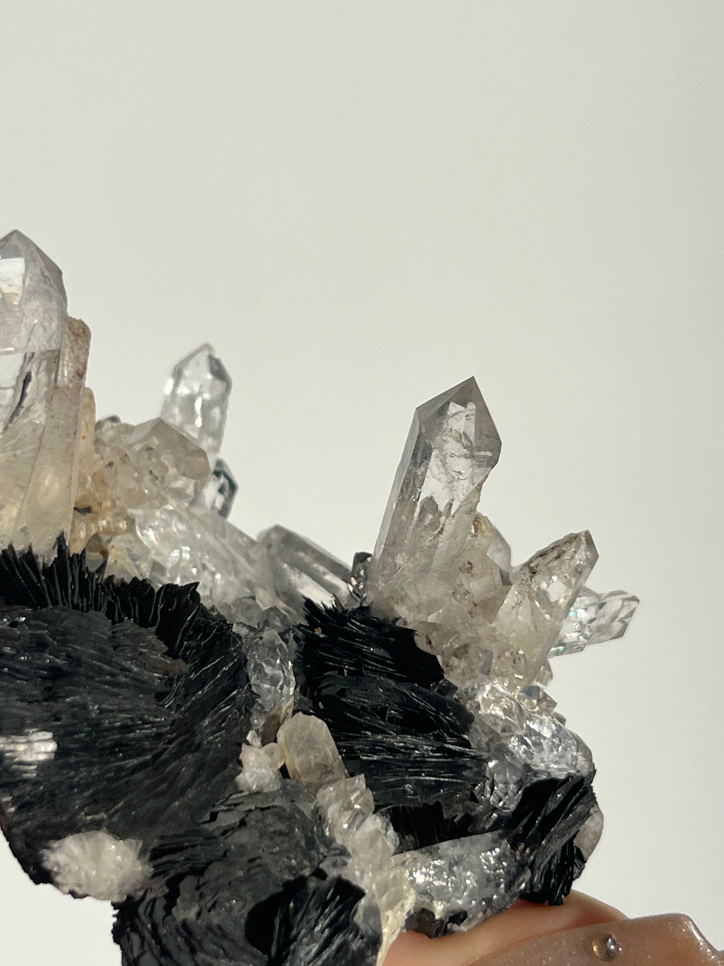 Specularite Hematite Rose with Quartz Specimen G