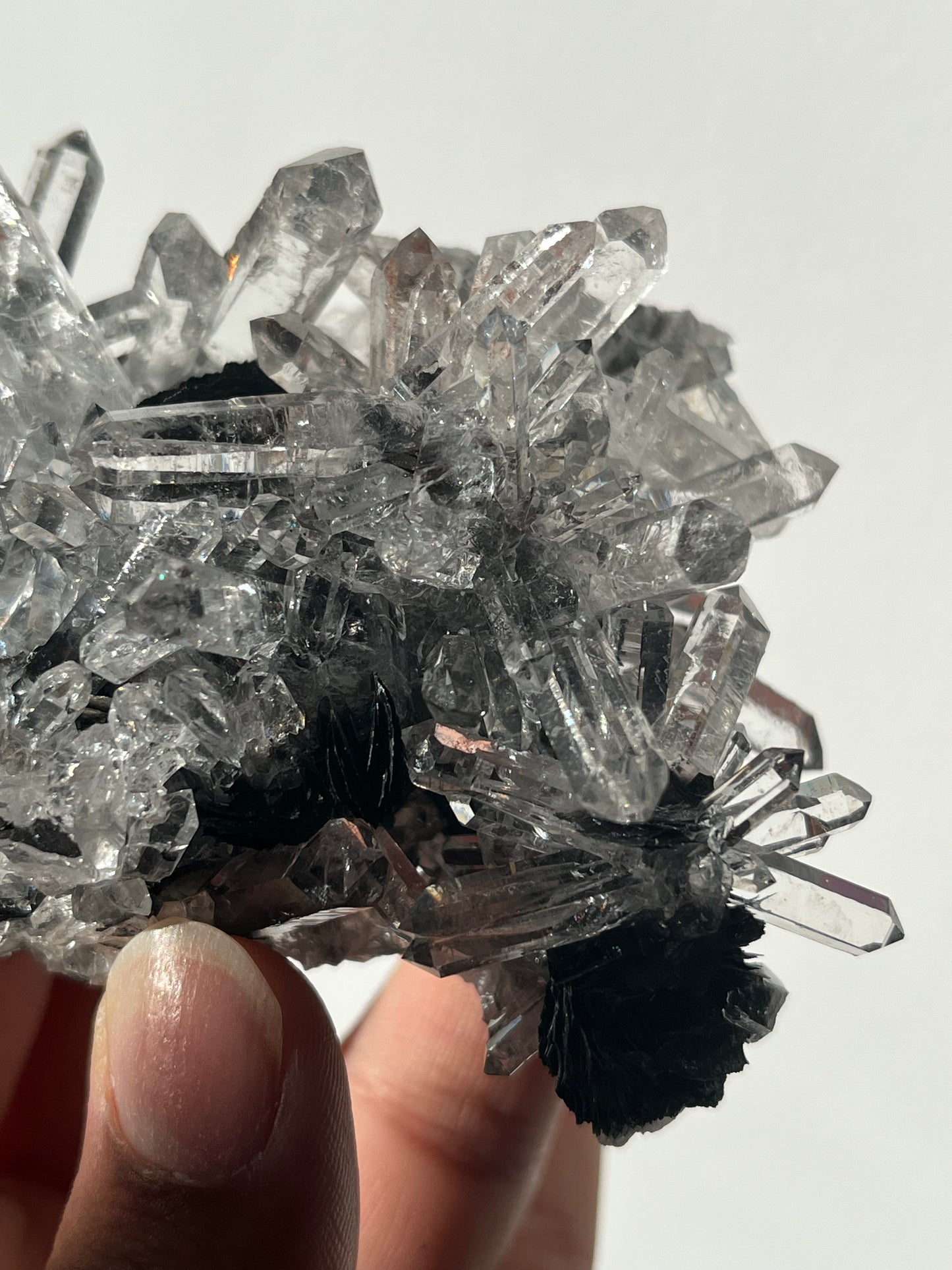 Specularite and Quartz Cluster with Red Hematite Inclusions (Collector's Choice)