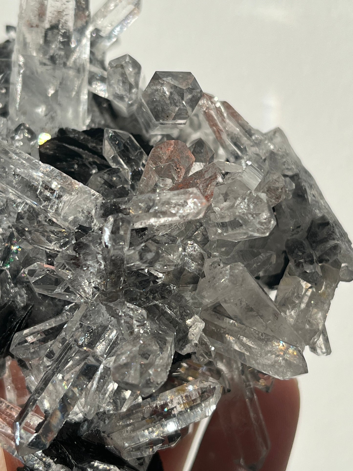 Specularite and Quartz Cluster with Red Hematite Inclusions (Collector's Choice)