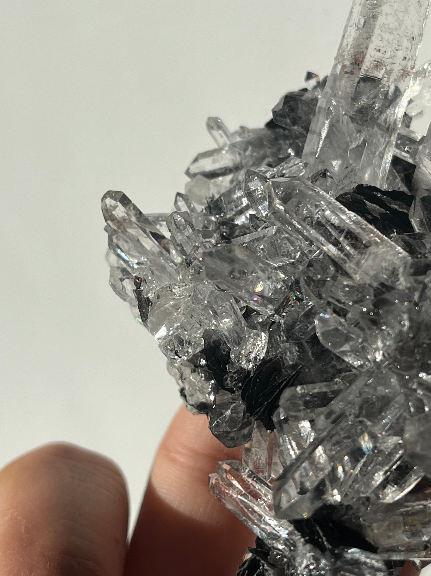 Specularite and Quartz Cluster with Red Hematite Inclusions (Collector's Choice)
