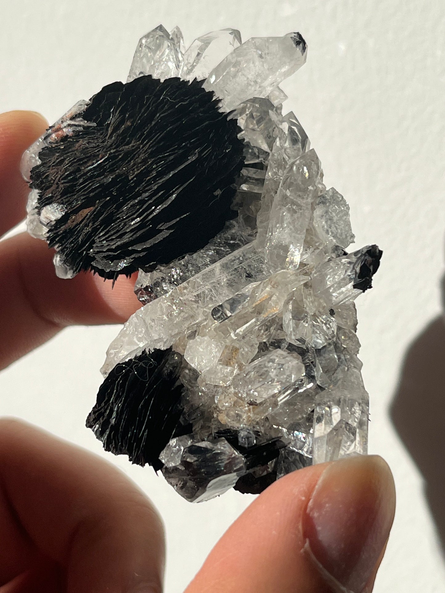 Specularite and Quartz Cluster C