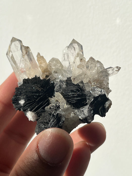 Specularite and Quartz Cluster G