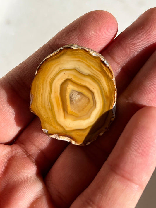 Sunset Sumatran River Agate Pair #J
