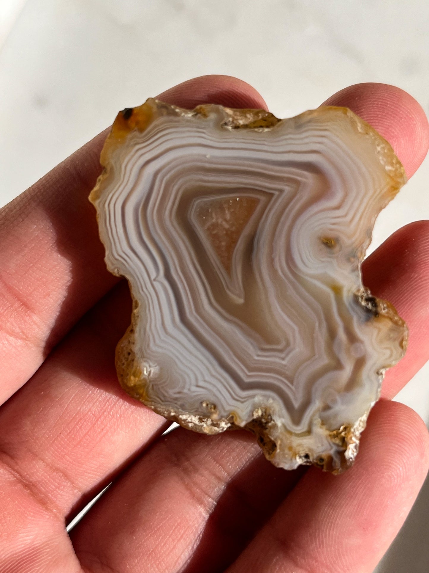 ‘Neon’ Sumatran River Agate Pair #H