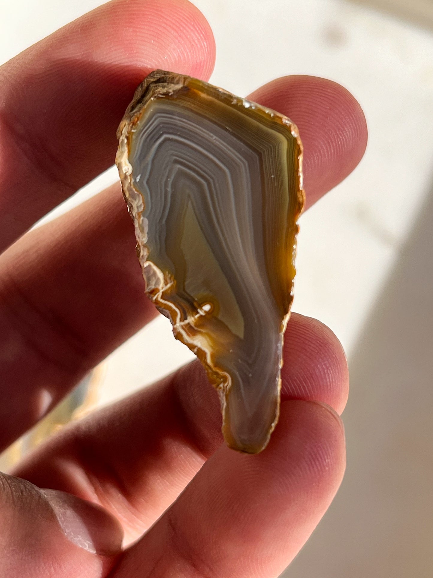 Sumatran River Agate Pair w/ Parallax #F (Collector’s Choice)