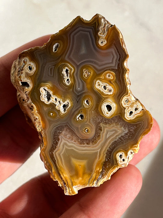 'Sunspot' West Indonesian River Agate Pseudomorph Pair #E