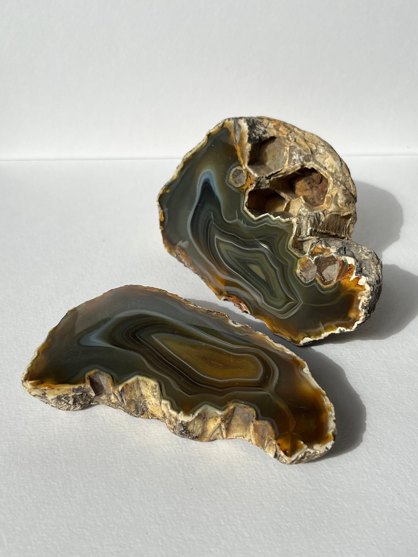 "Alluvia" West Indonesian River Agate Pair A