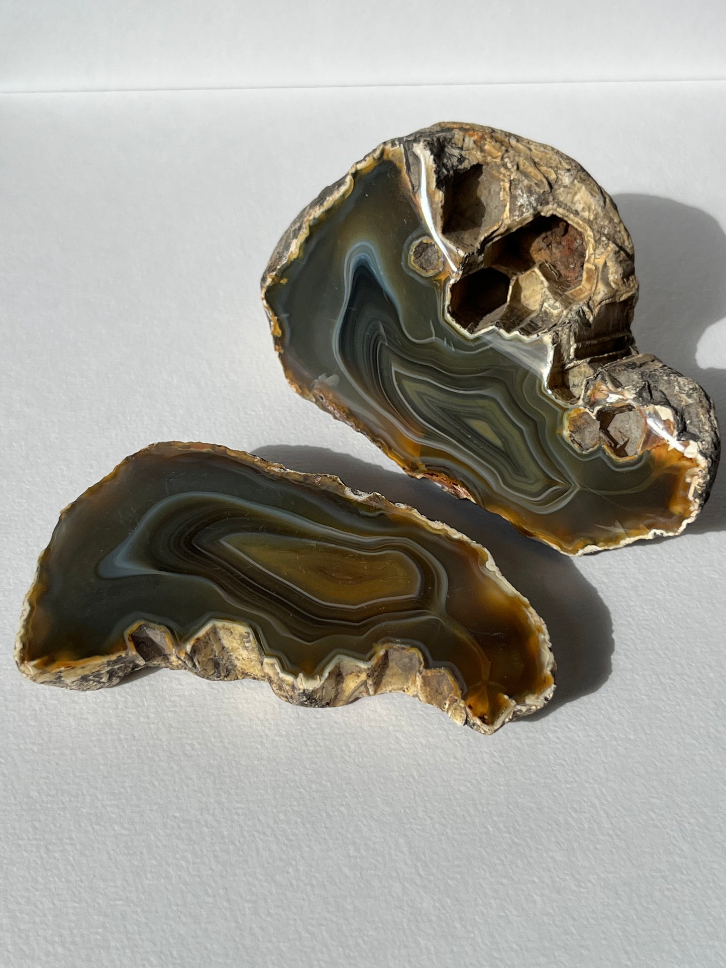 "Alluvia" West Indonesian River Agate Pair A