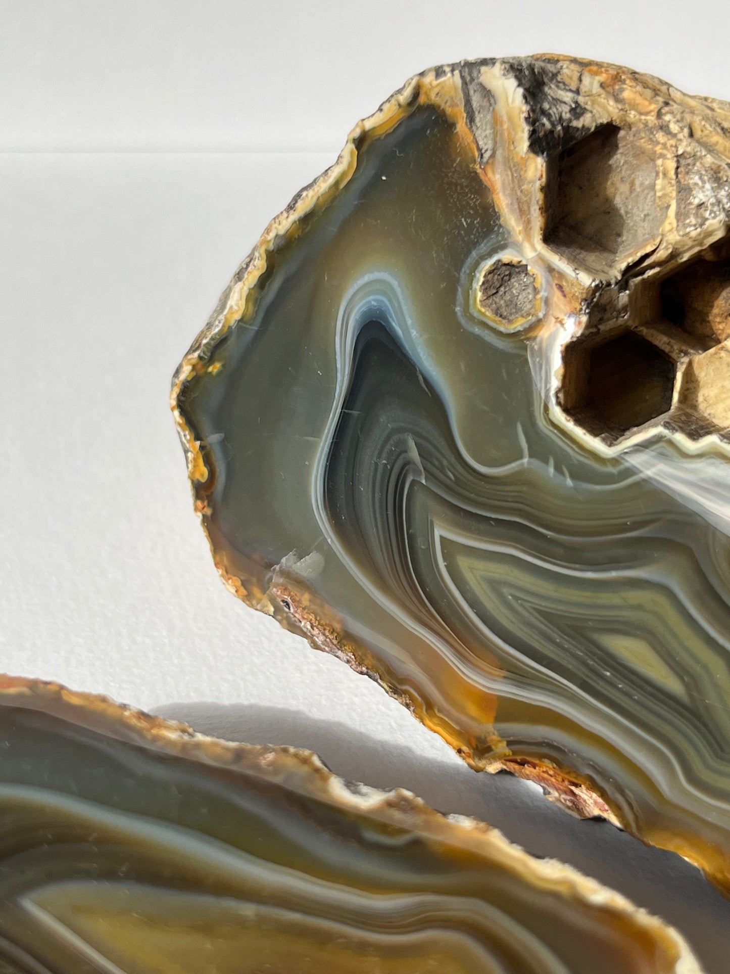 "Alluvia" West Indonesian River Agate Pair A