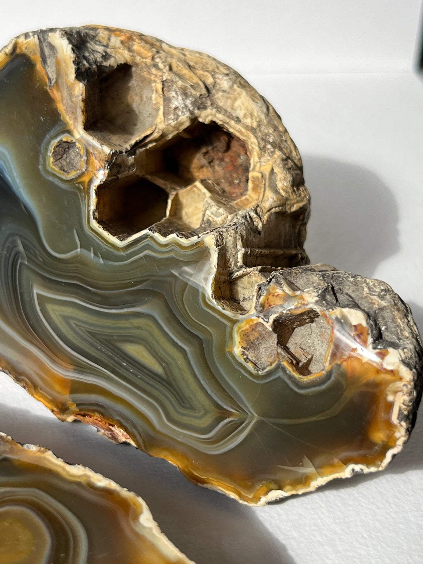 "Alluvia" West Indonesian River Agate Pair A