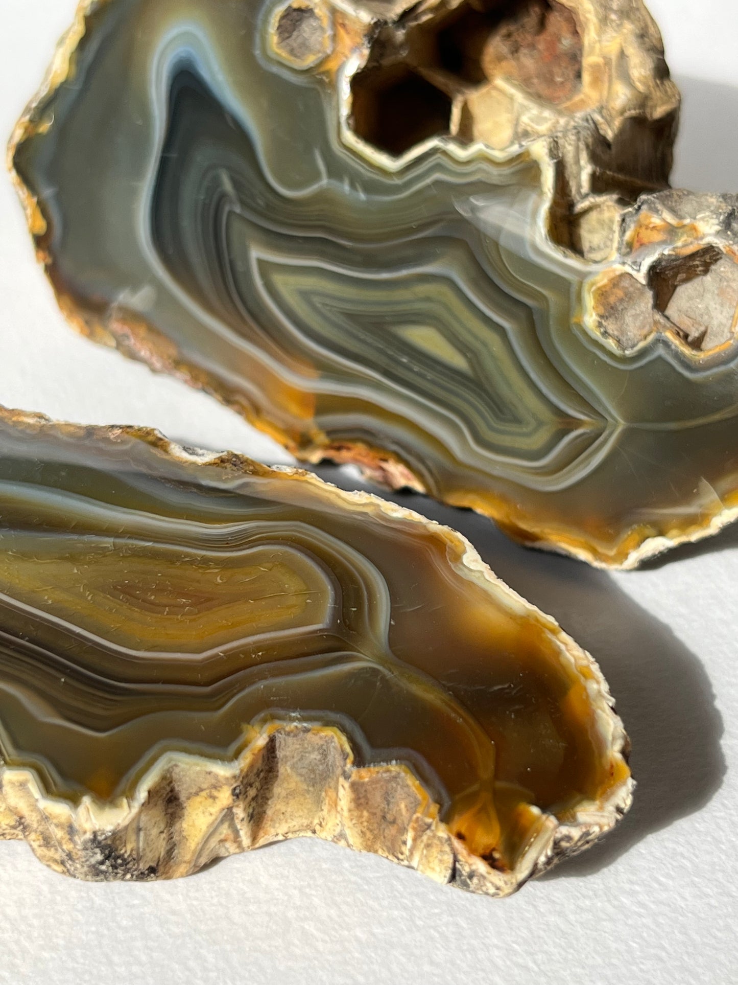 "Alluvia" West Indonesian River Agate Pair A