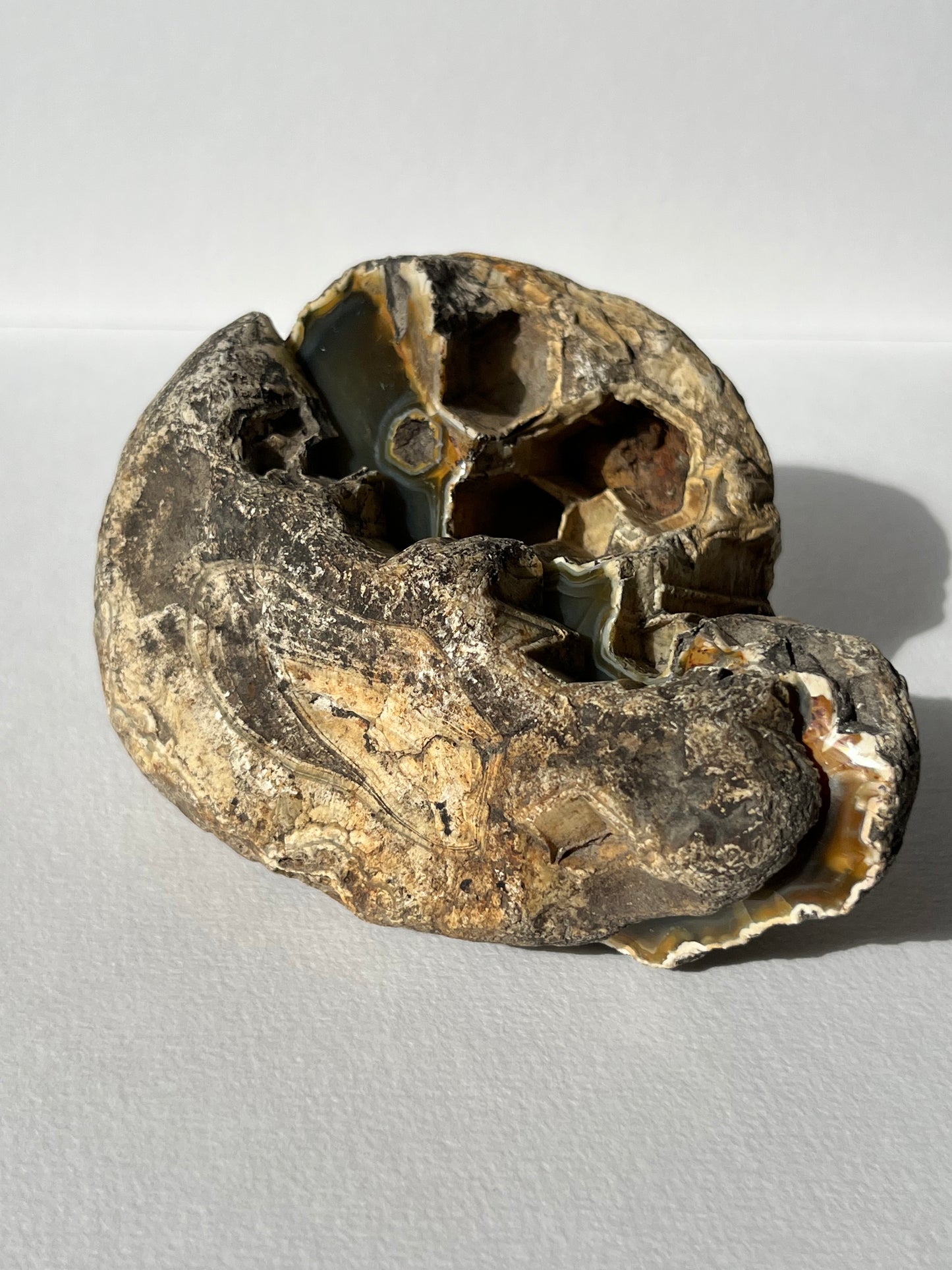 "Alluvia" West Indonesian River Agate Pair A