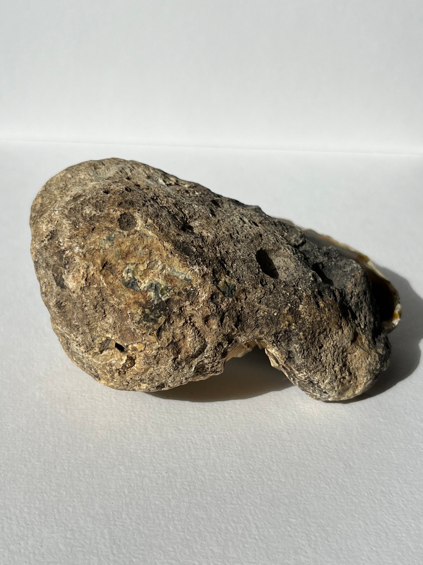 "Alluvia" West Indonesian River Agate Pair A