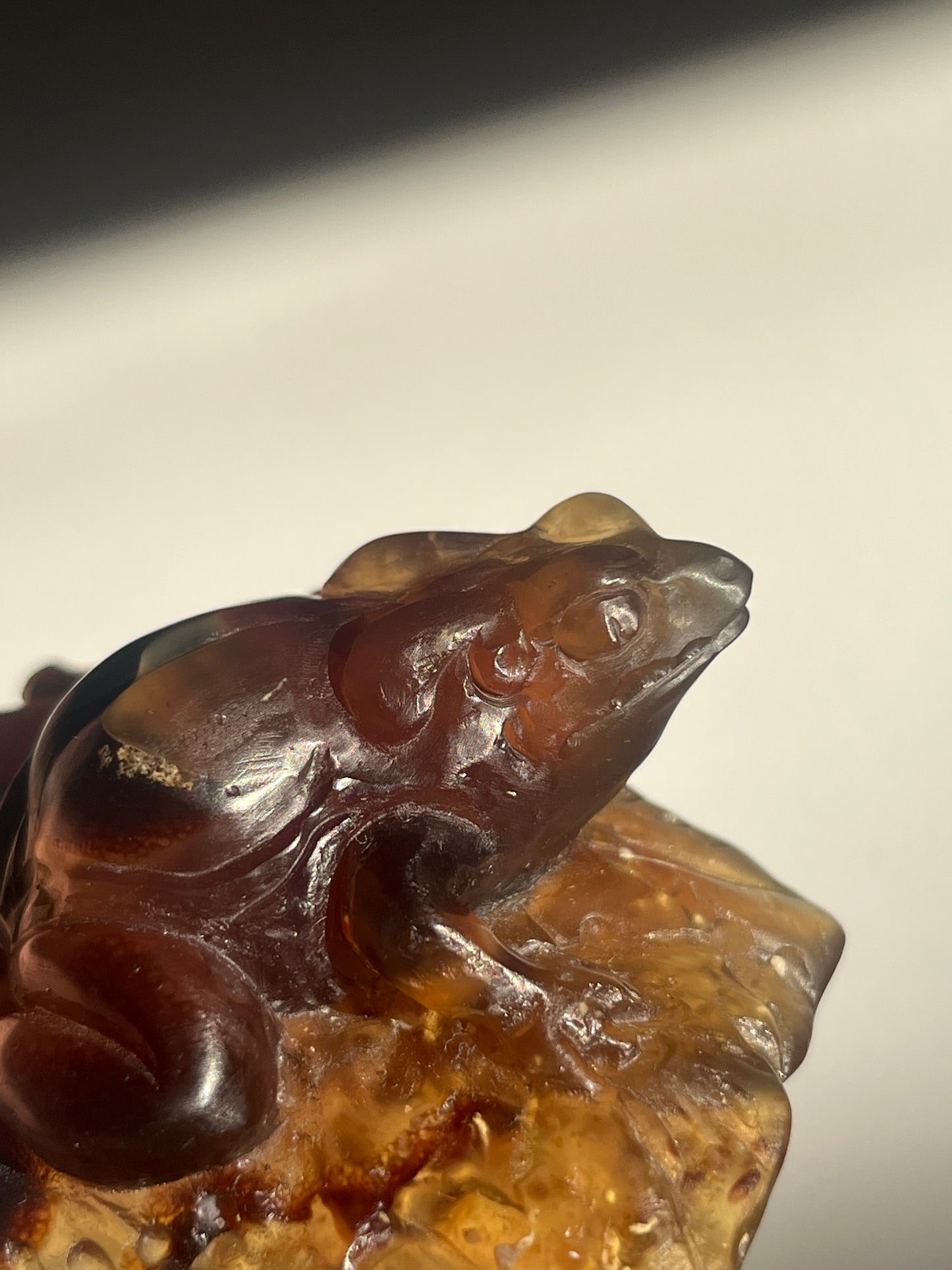 "Katak" Sumatran Amber Frog on Monstera Leaves Carving