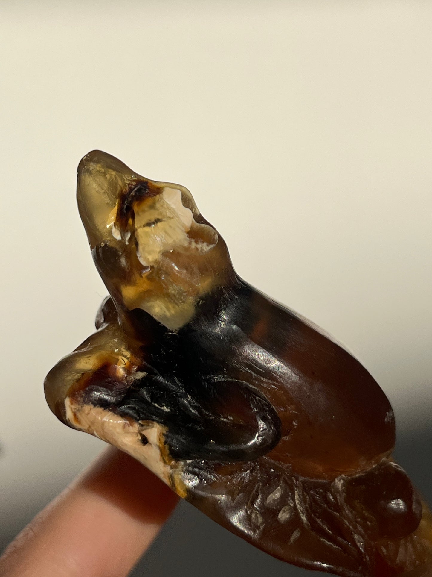 'Salazar' Sumatran Amber Gecko Carving
