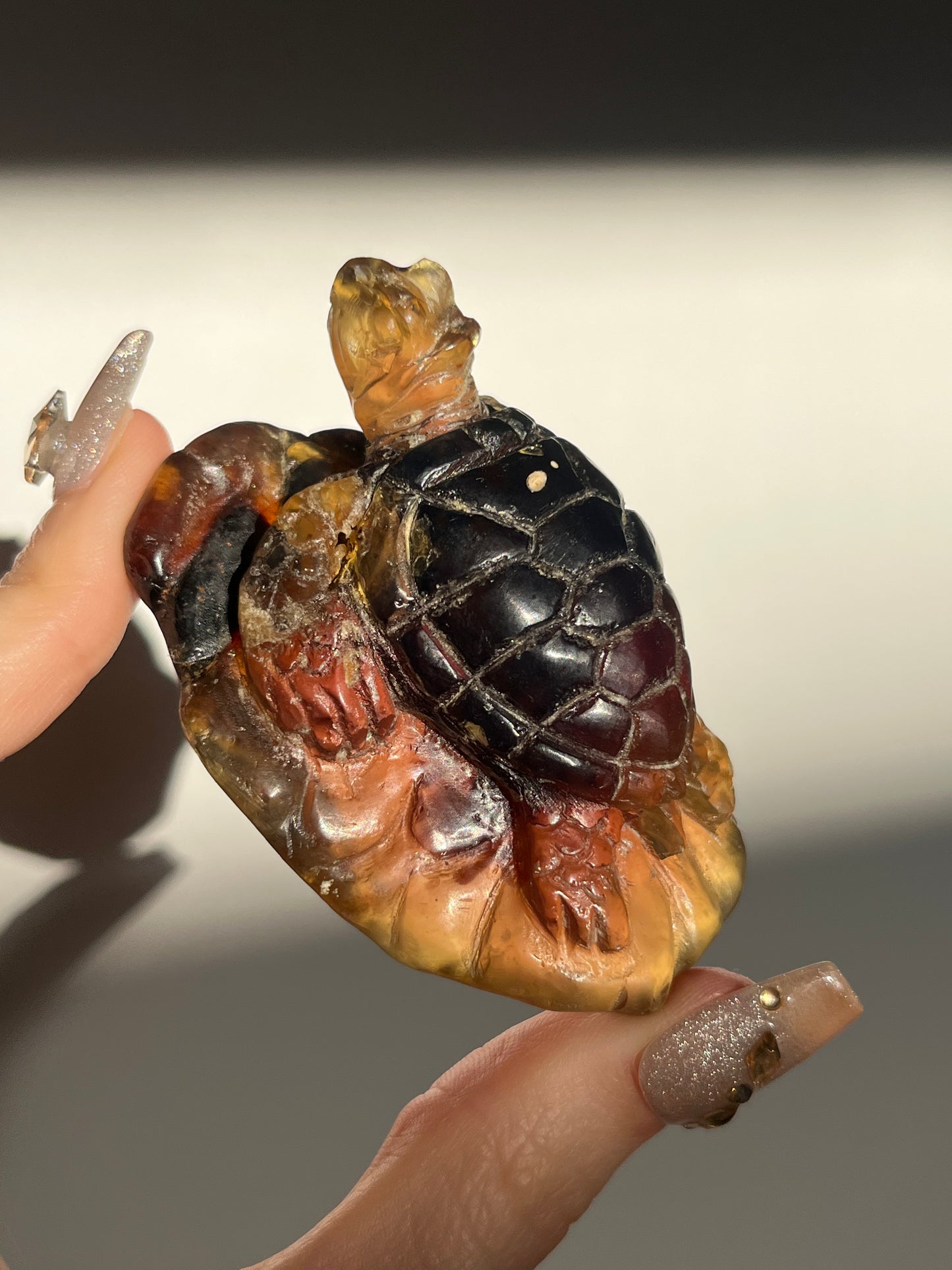 'Archelon' Sumatran Amber Tortoise Carving