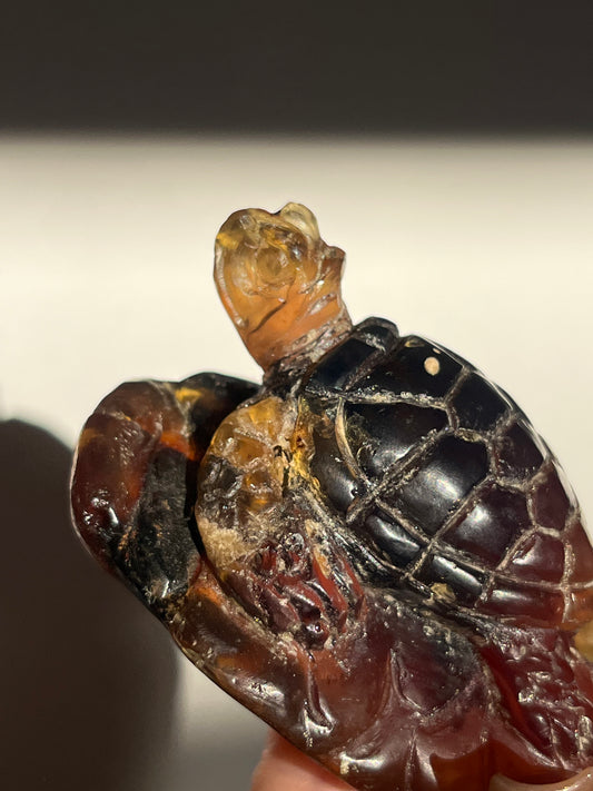 'Archelon' Sumatran Amber Tortoise Carving