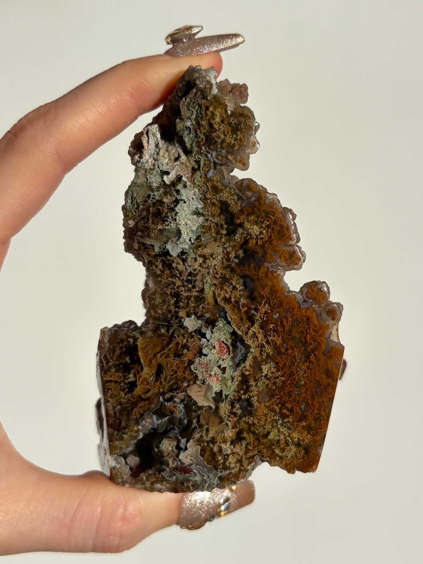 “The First Garden” Tembaga Moss in Chalcedony Botryoidal Freeform A