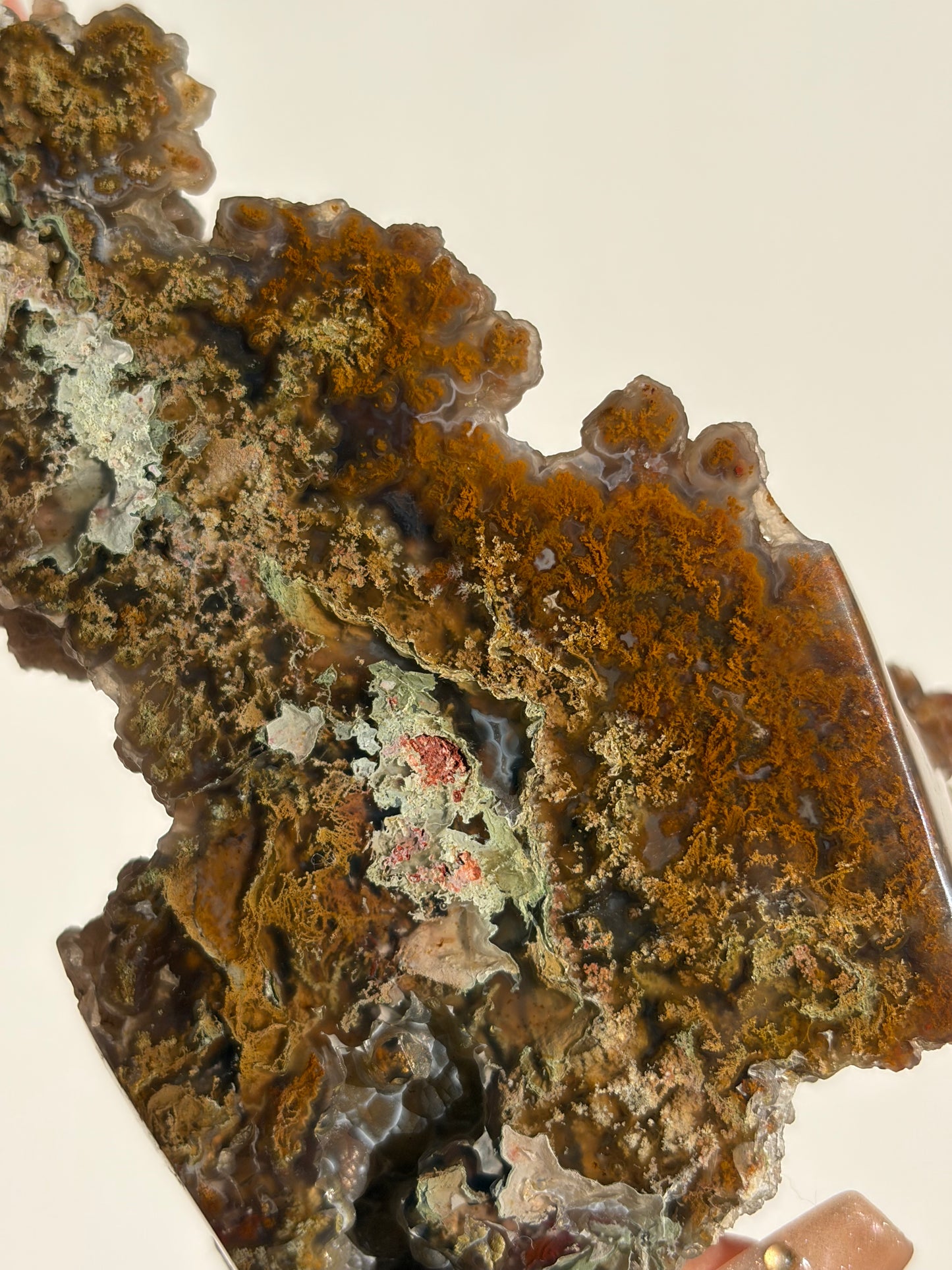 “The First Garden” Tembaga Moss in Chalcedony Botryoidal Freeform A