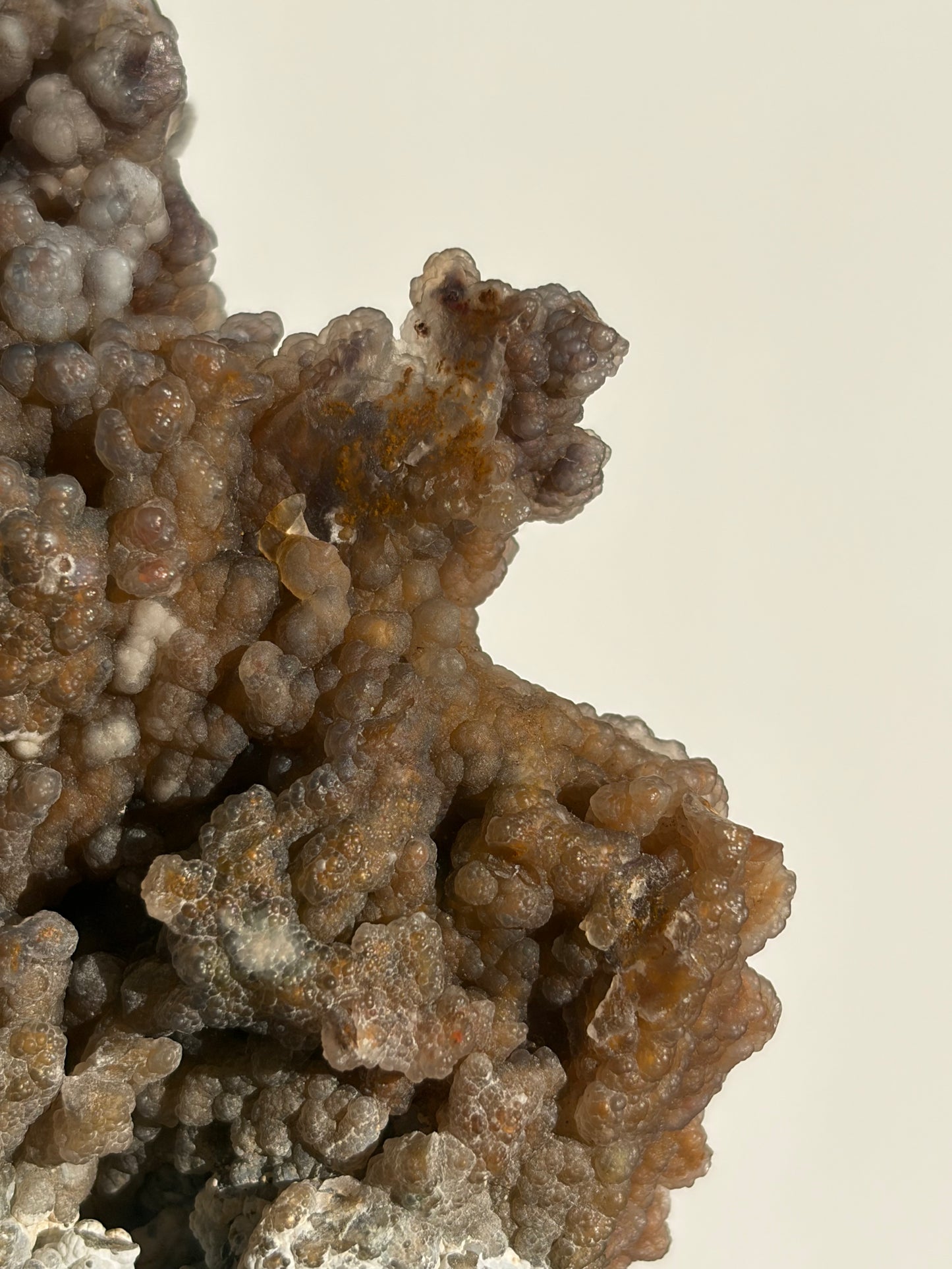 “The First Garden” Tembaga Moss in Chalcedony Botryoidal Freeform A