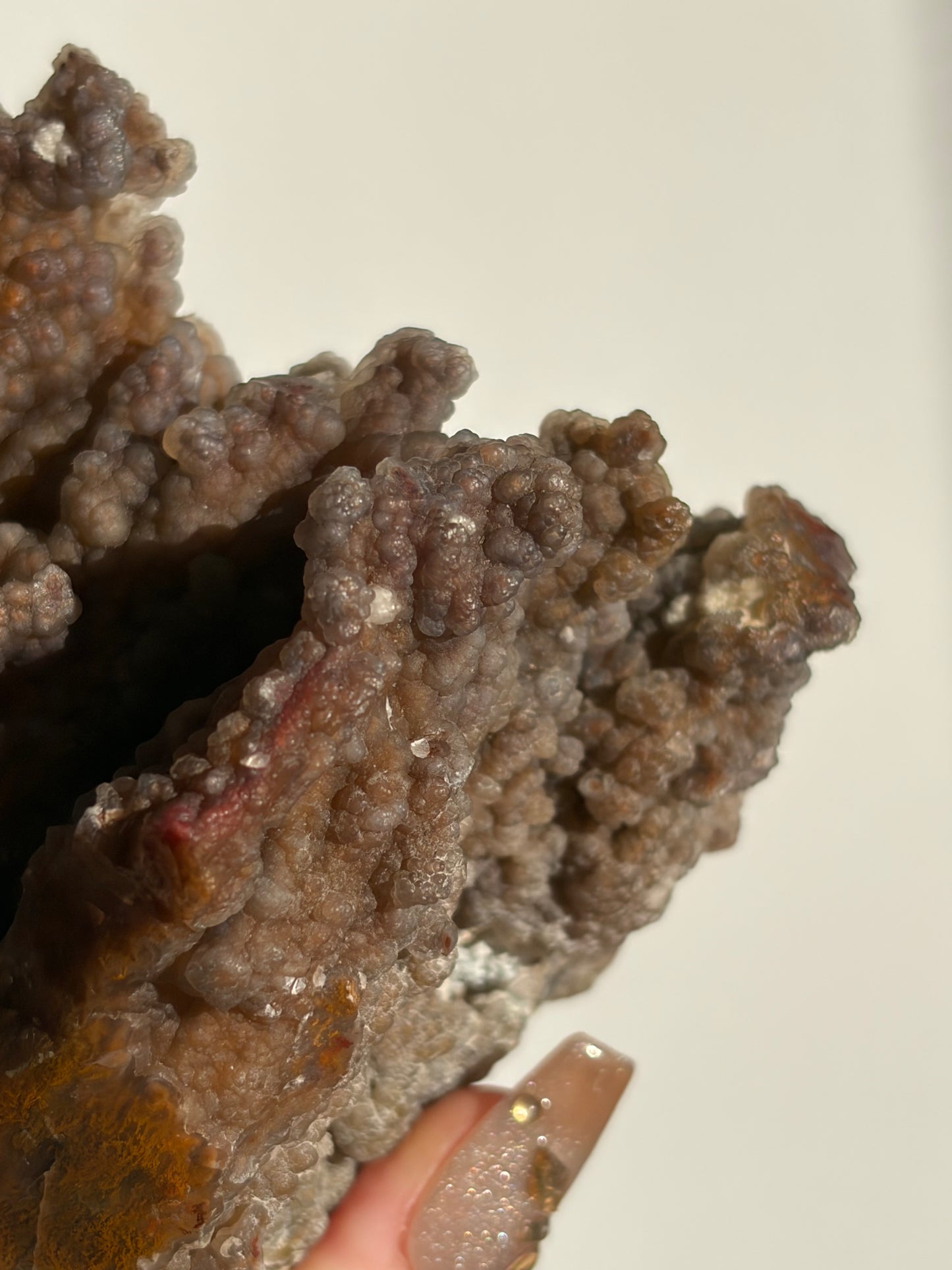 “The First Garden” Tembaga Moss in Chalcedony Botryoidal Freeform A