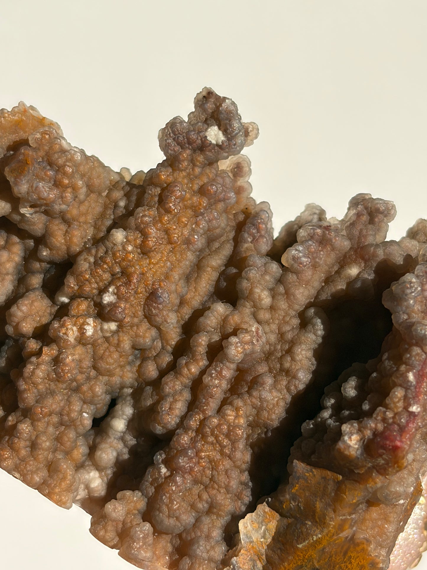 “The First Garden” Tembaga Moss in Chalcedony Botryoidal Freeform A