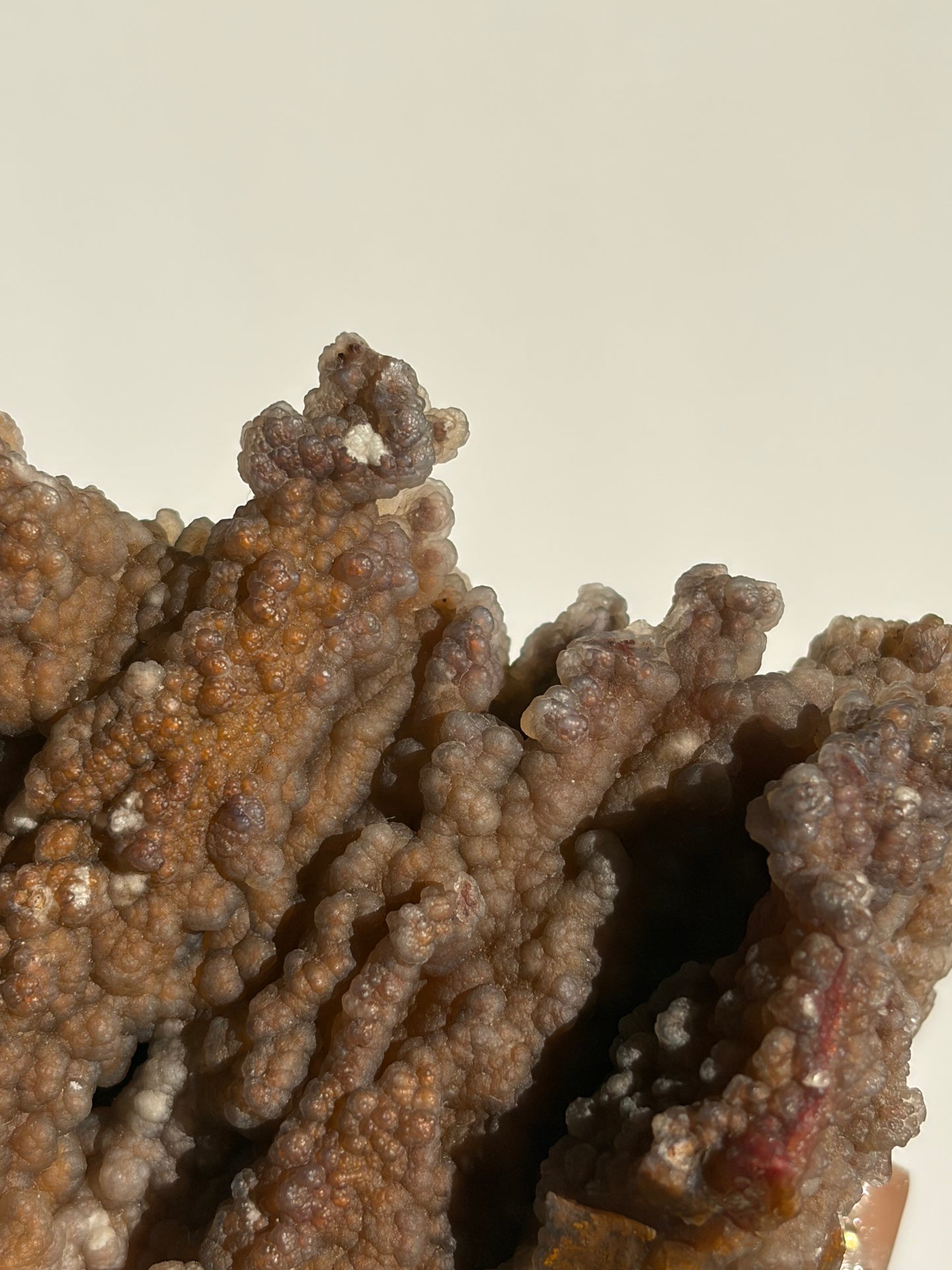“The First Garden” Tembaga Moss in Chalcedony Botryoidal Freeform A