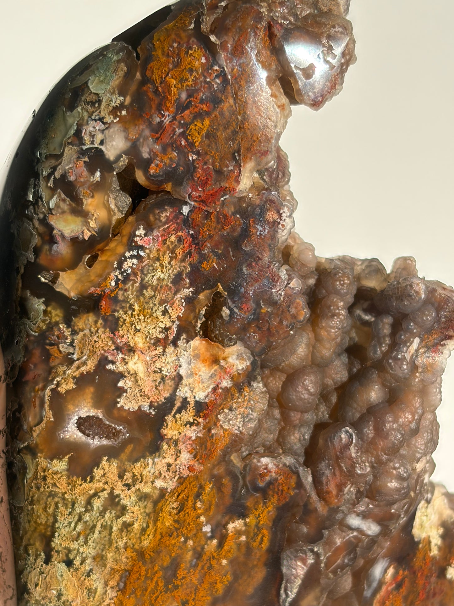 “The Botanical Cosmos” Tembaga Moss in Chalcedony Botryoidal Freeform B