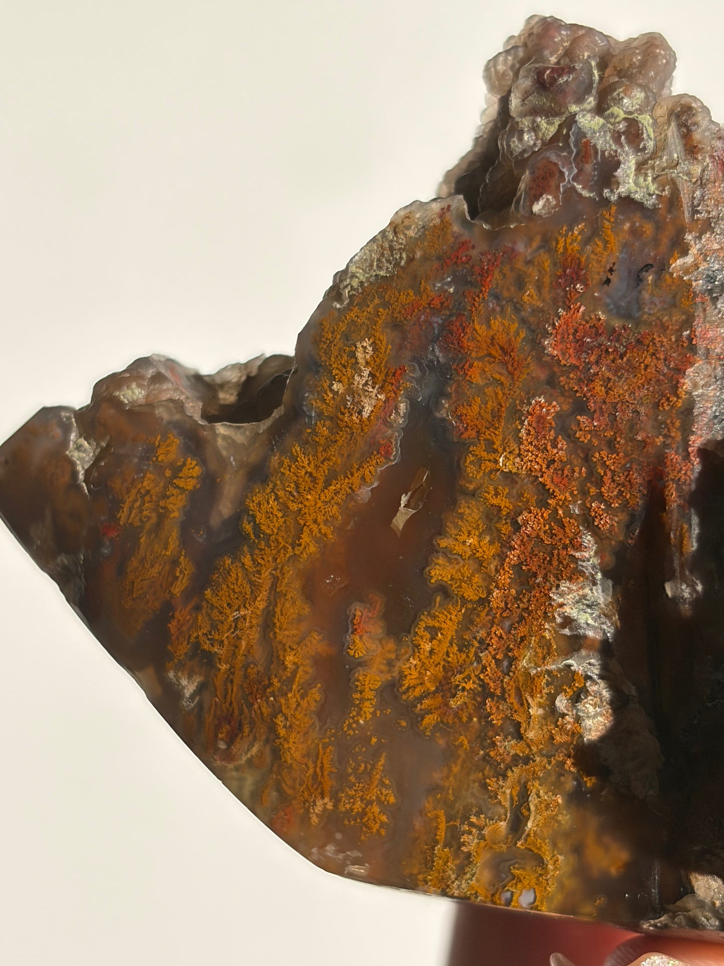“The Botanical Cosmos” Tembaga Moss in Chalcedony Botryoidal Freeform B