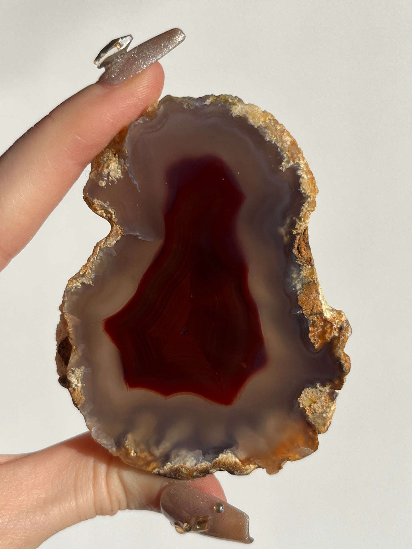 “The Molten Sigil” Translucent Red Laguna Agate with Floral Features