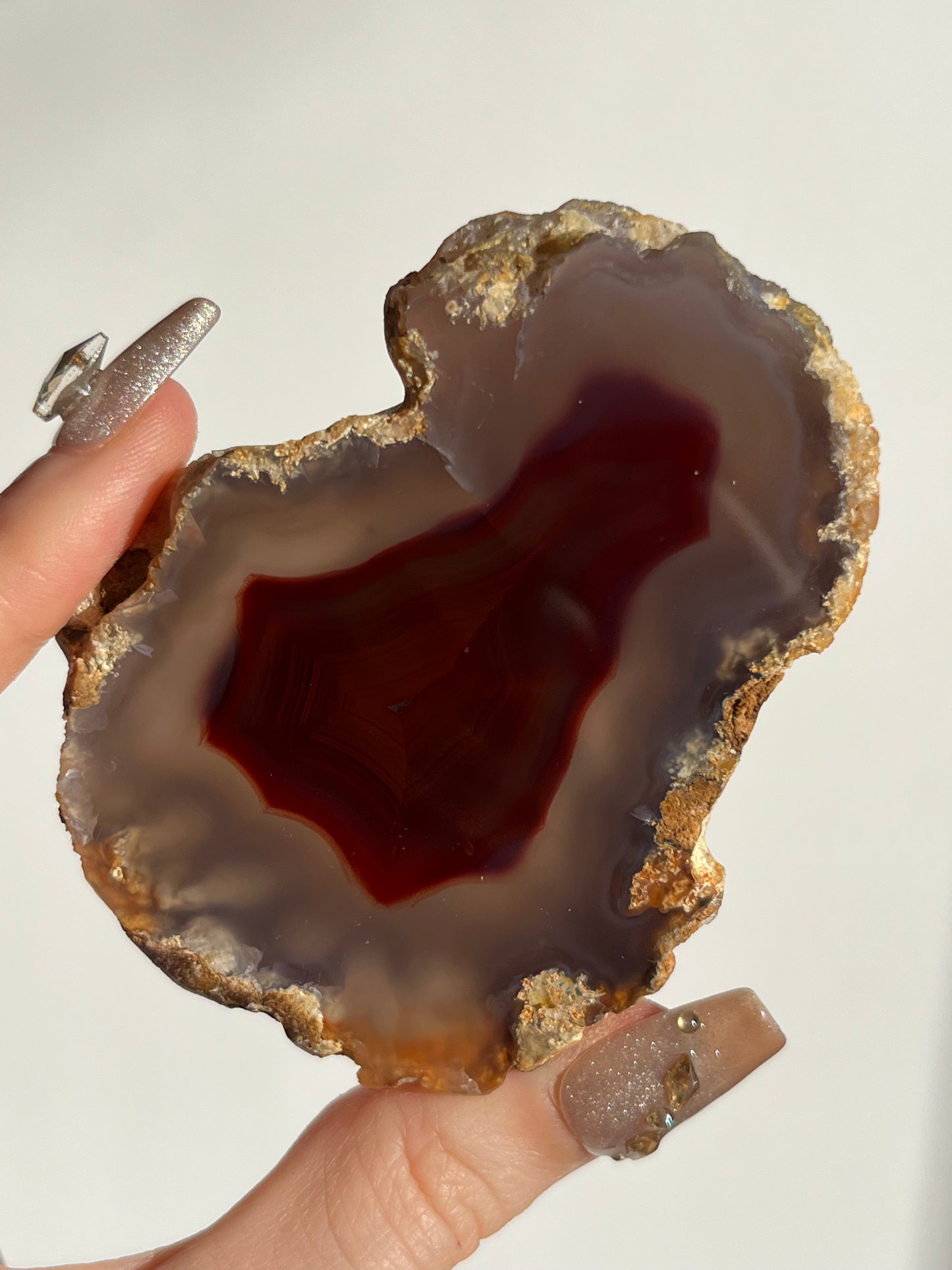 “The Molten Sigil” Translucent Red Laguna Agate with Floral Features