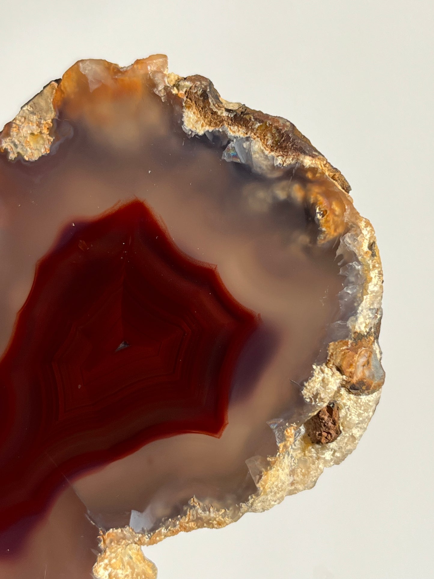 “The Molten Sigil” Translucent Red Laguna Agate with Floral Features