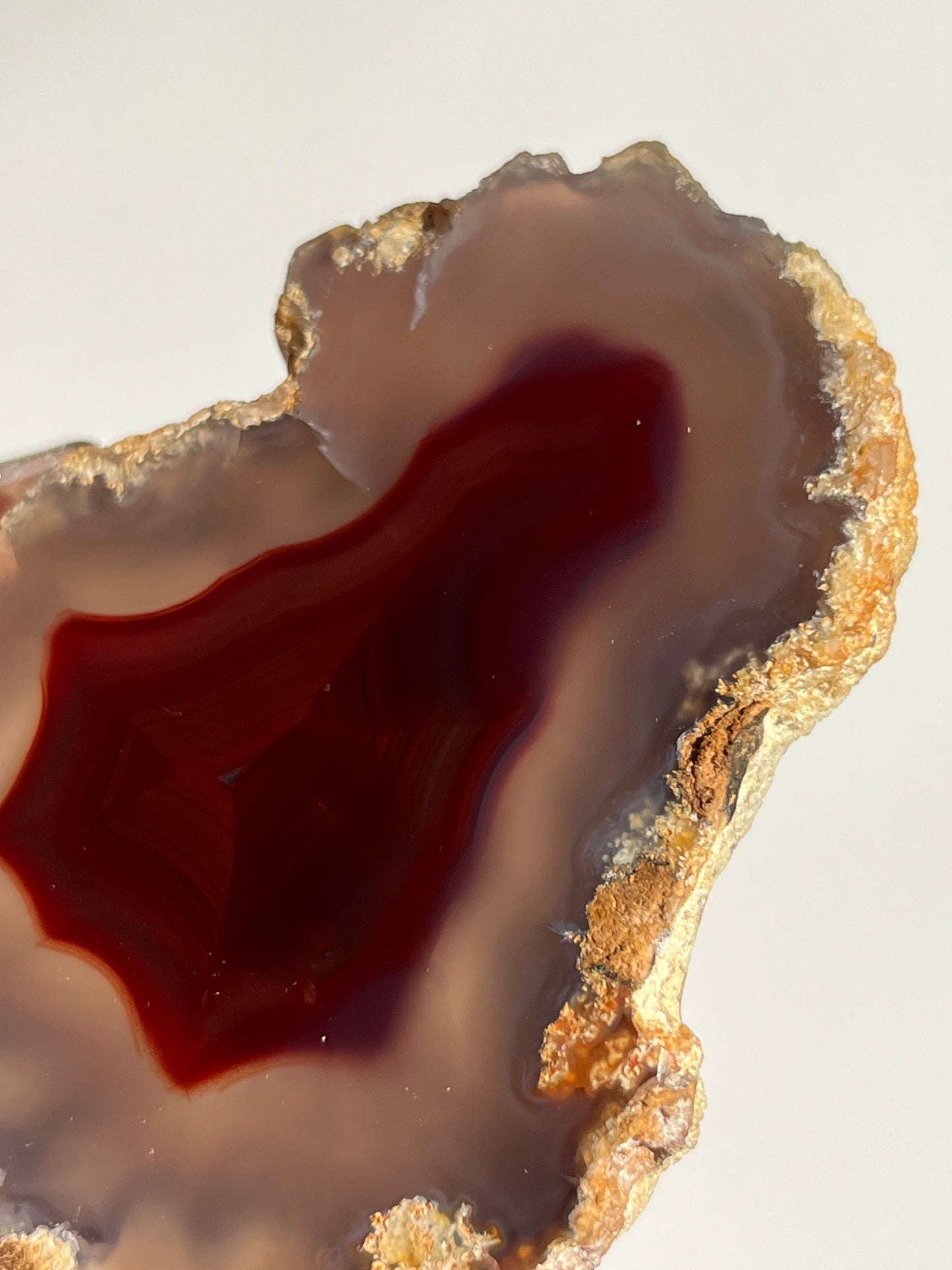 “The Molten Sigil” Translucent Red Laguna Agate with Floral Features