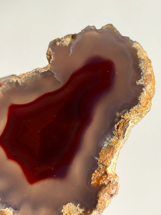 “The Molten Sigil” Translucent Red Laguna Agate with Floral Features