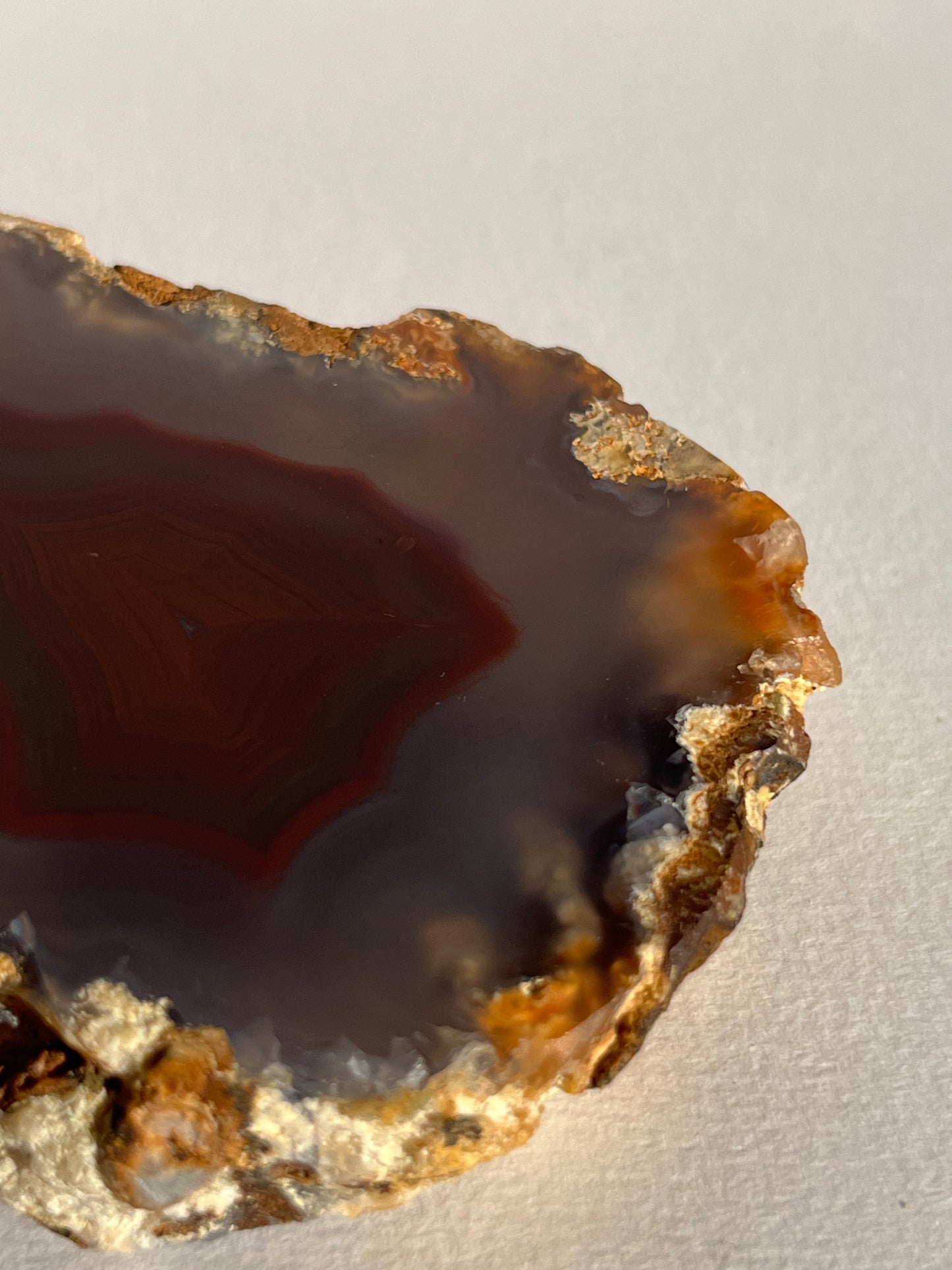 “The Molten Sigil” Translucent Red Laguna Agate with Floral Features