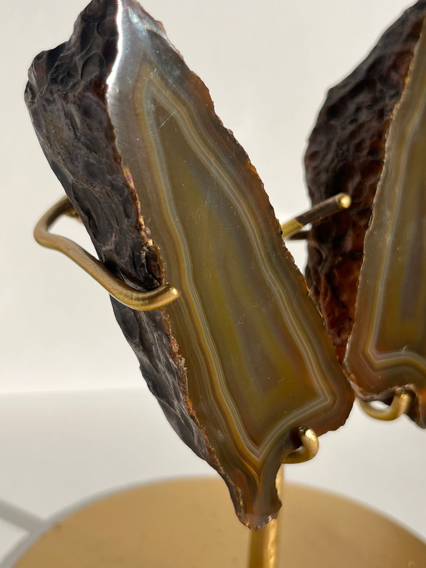 “Moths at Dusk” Banded Coffee Agate Wing Set on Stand