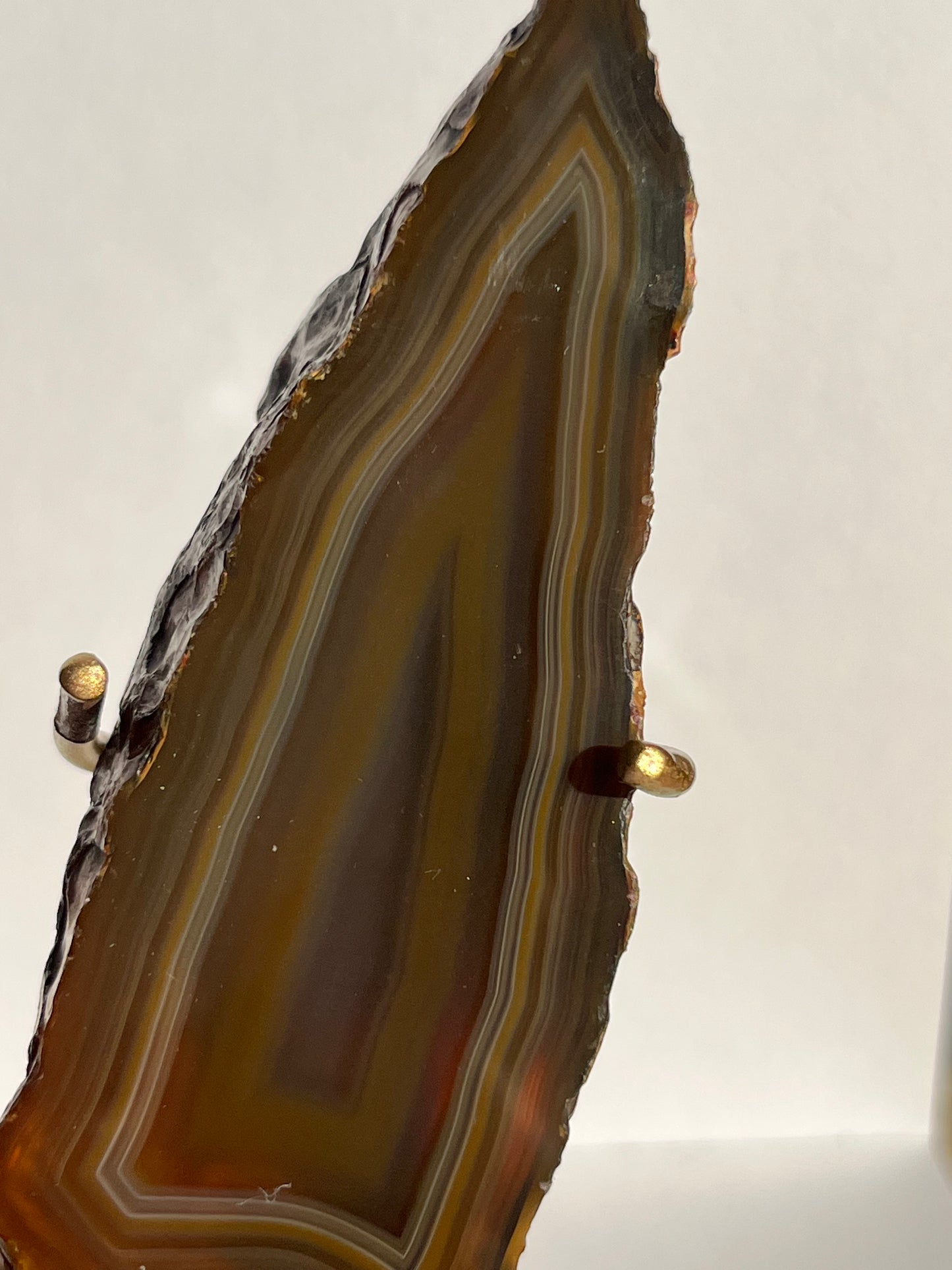 “Moths at Dusk” Banded Coffee Agate Wing Set on Stand