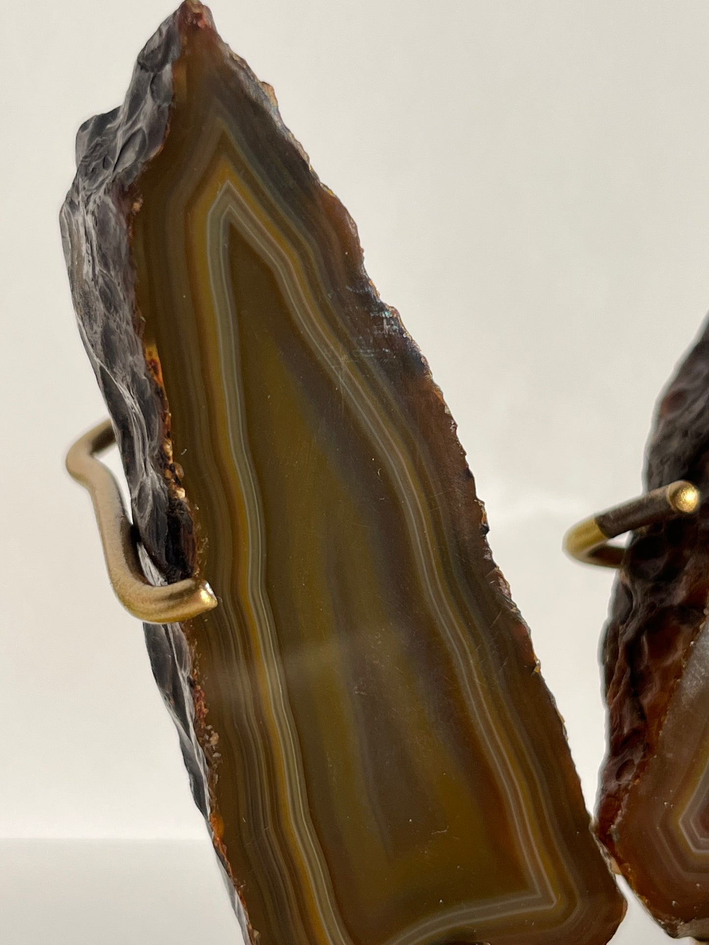 “Moths at Dusk” Banded Coffee Agate Wing Set on Stand