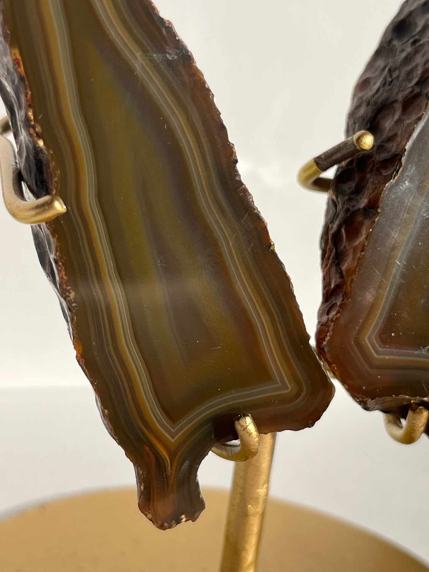 “Moths at Dusk” Banded Coffee Agate Wing Set on Stand