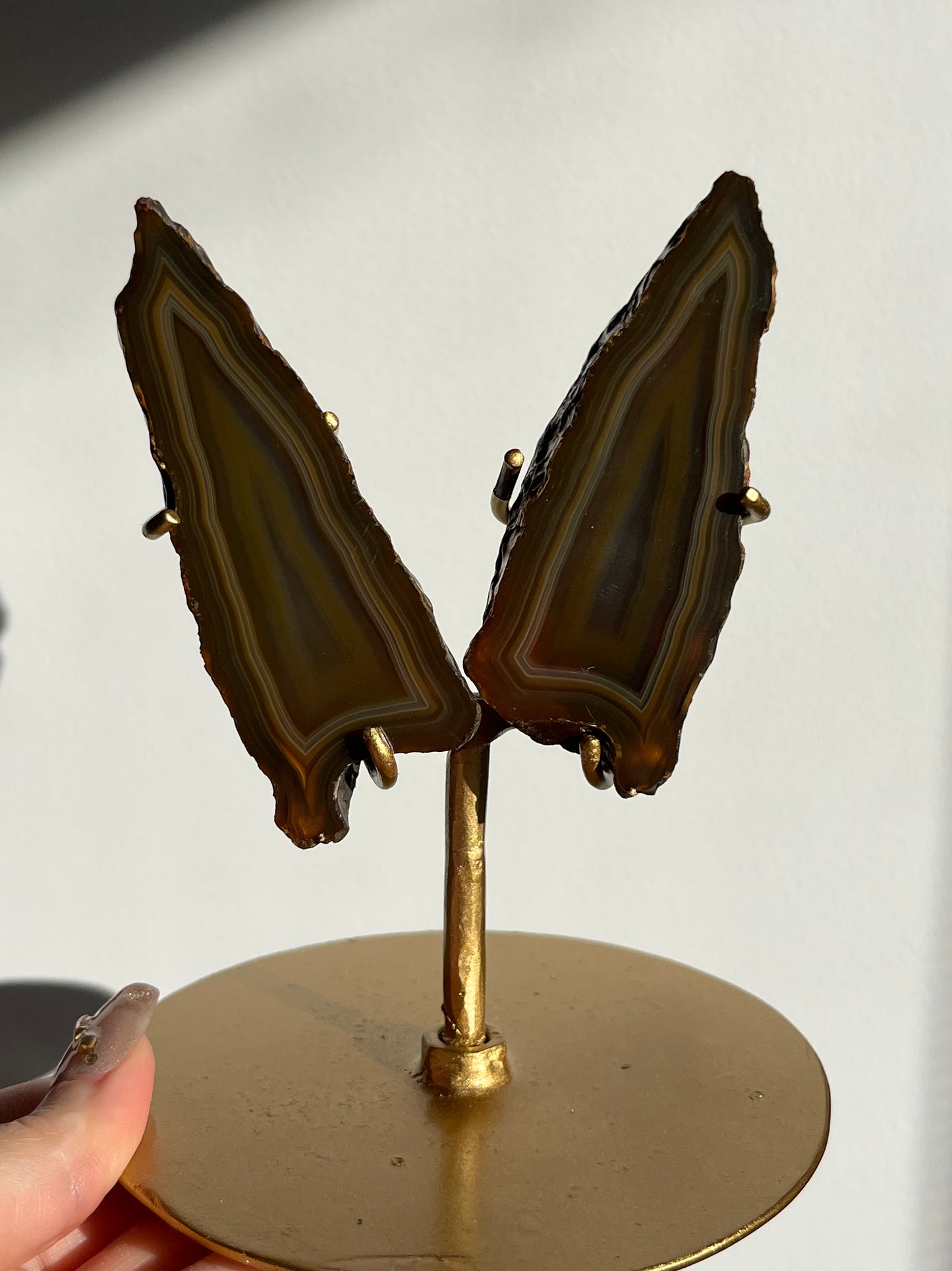 “Moths at Dusk” Banded Coffee Agate Wing Set on Stand